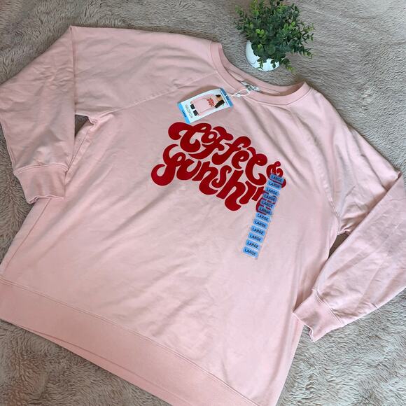 NWT Wildfox Pink Coffee N Sunshine Velvet Letters Statement Sweatshirt Size L - Picture 1 of 12